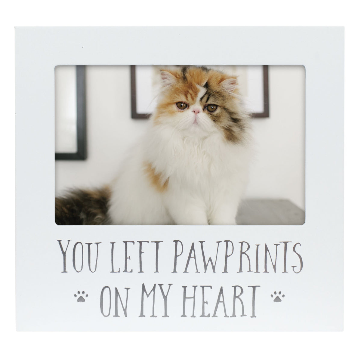 Pearhead Forever Loved Pet Keepsake Picture Frame, Photo Frame for Pet Owners and Dog Lovers, Ideal Memorial Gift for Loss of Dog and Pet Remembrance, Wall Mount And Tabletop Frame, Black