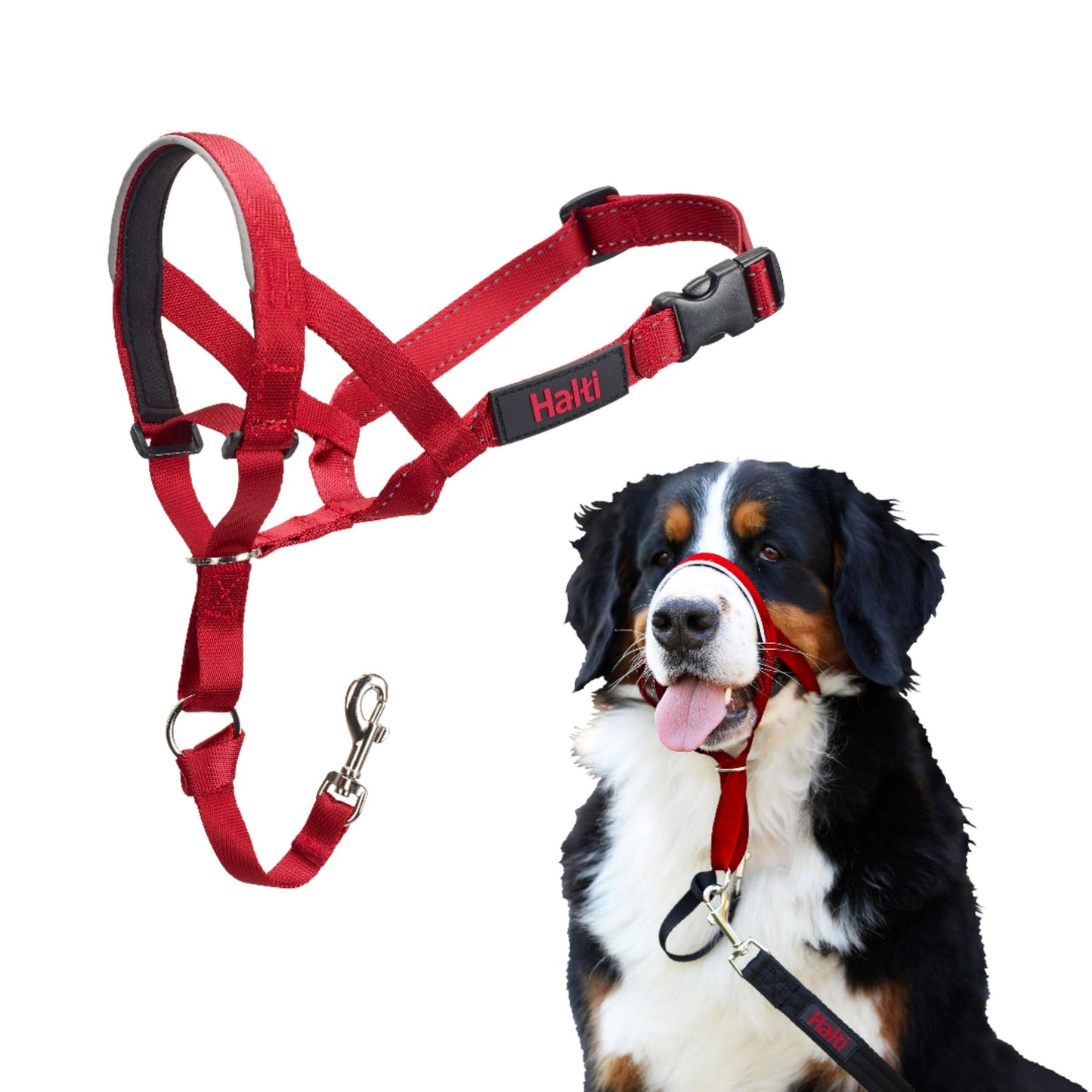 Halti Headcollar | Size 3, Black | Training Collar for Medium Dogs