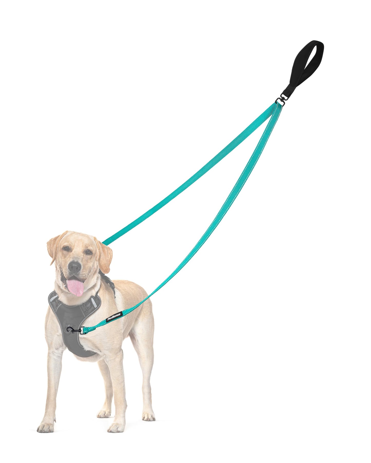 PetBonus Two Point Control Dog Leash, No Tangle Training Walking Leashes