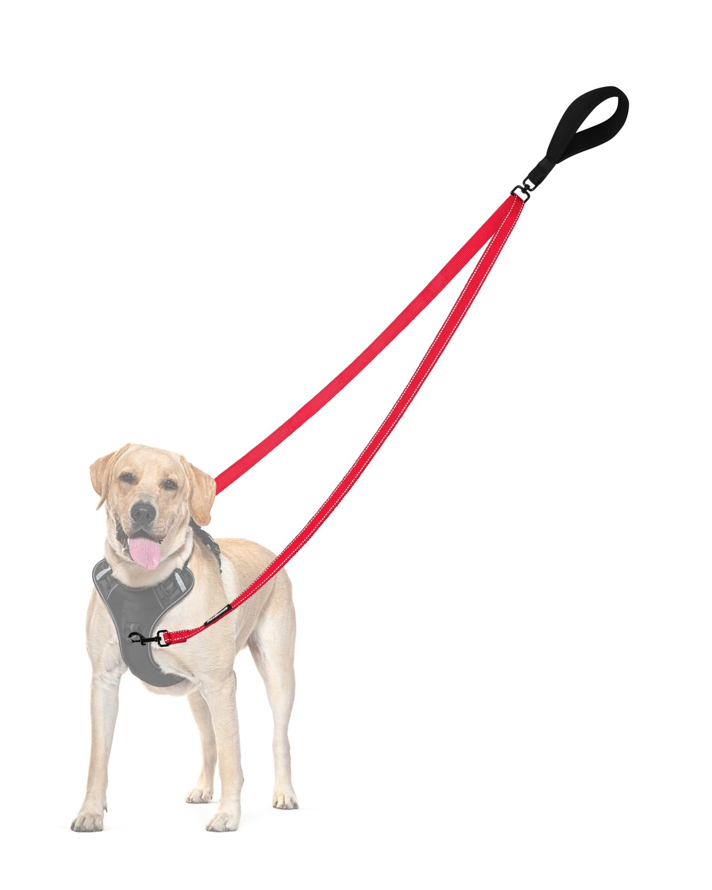 PetBonus Two Point Control Dog Leash, No Tangle Training Walking Leashes