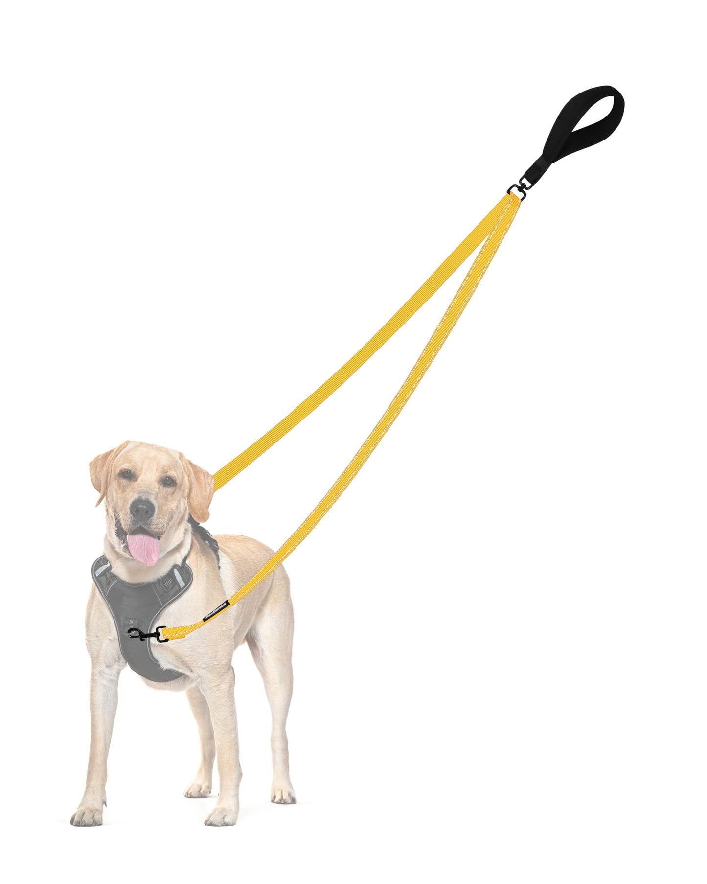 PetBonus Two Point Control Dog Leash, No Tangle Training Walking Leashes