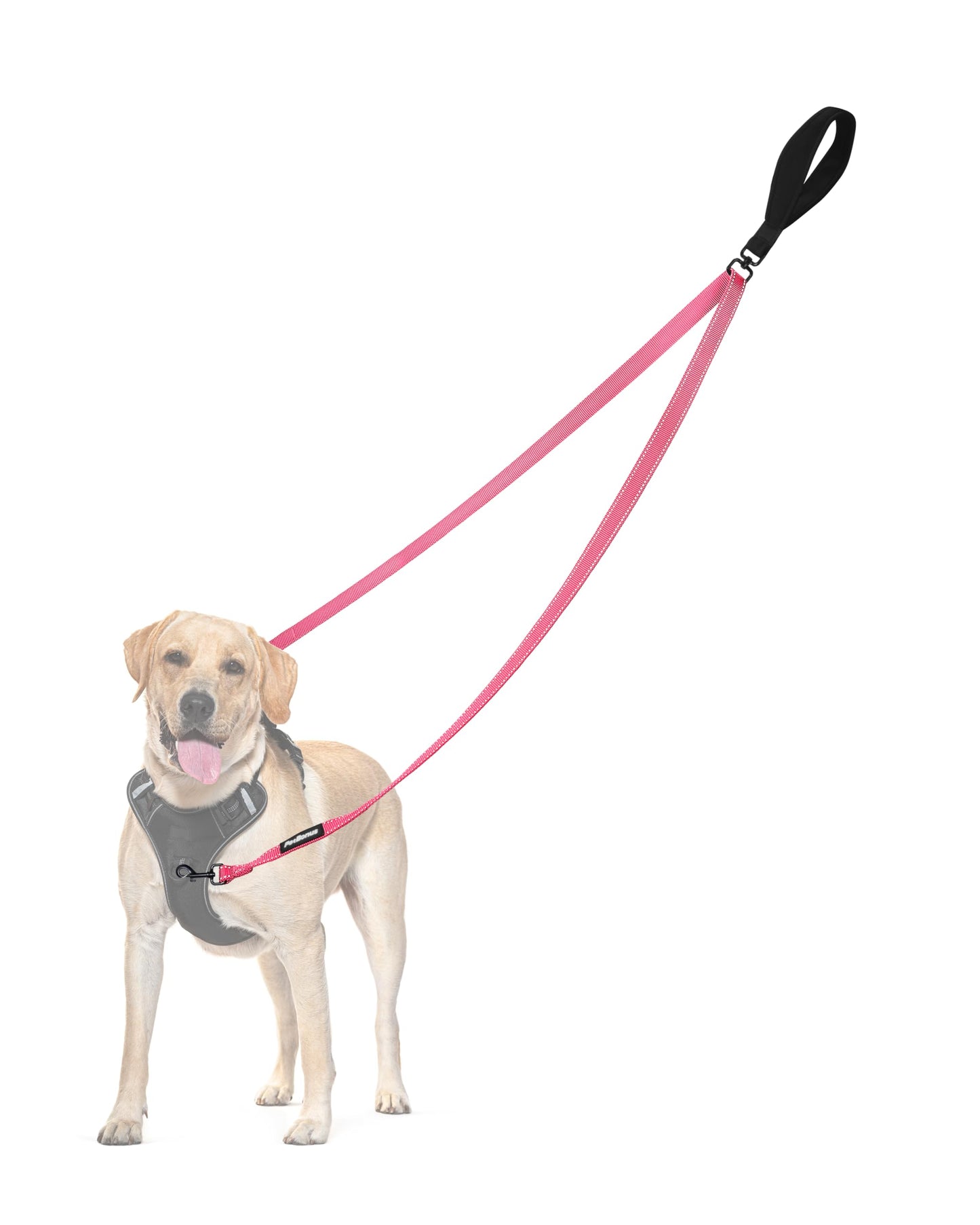 PetBonus Two Point Control Dog Leash, No Tangle Training Walking Leashes