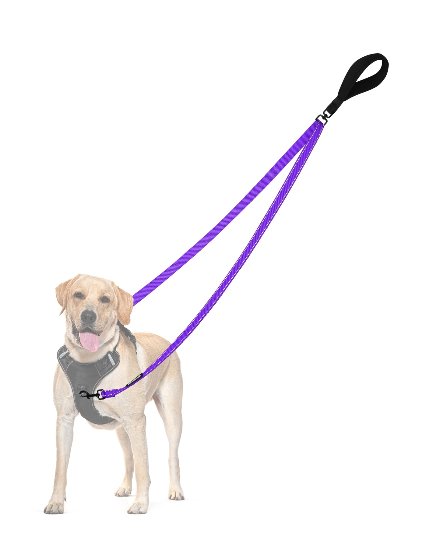 PetBonus Two Point Control Dog Leash, No Tangle Training Walking Leashes