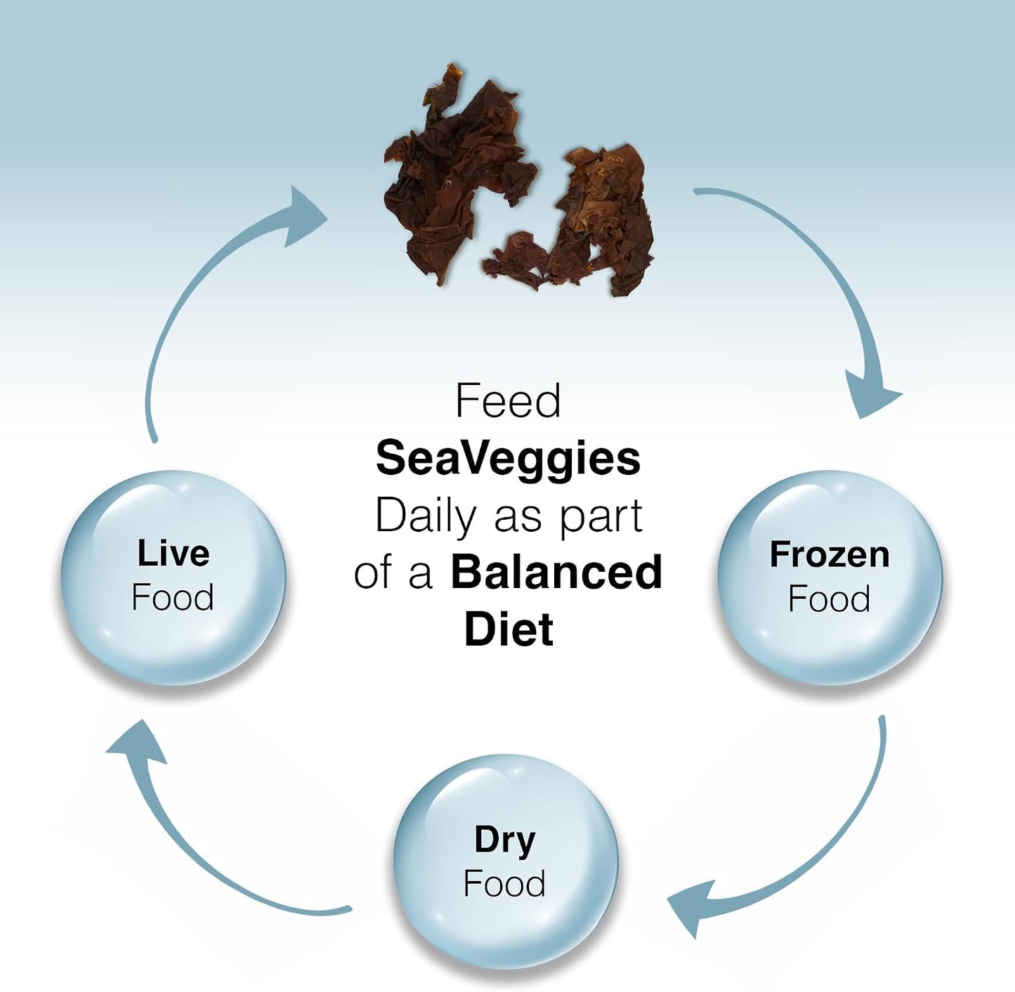 Two Little Fishies Julian Sprung's SeaVeggies Red Seaweed - 300g