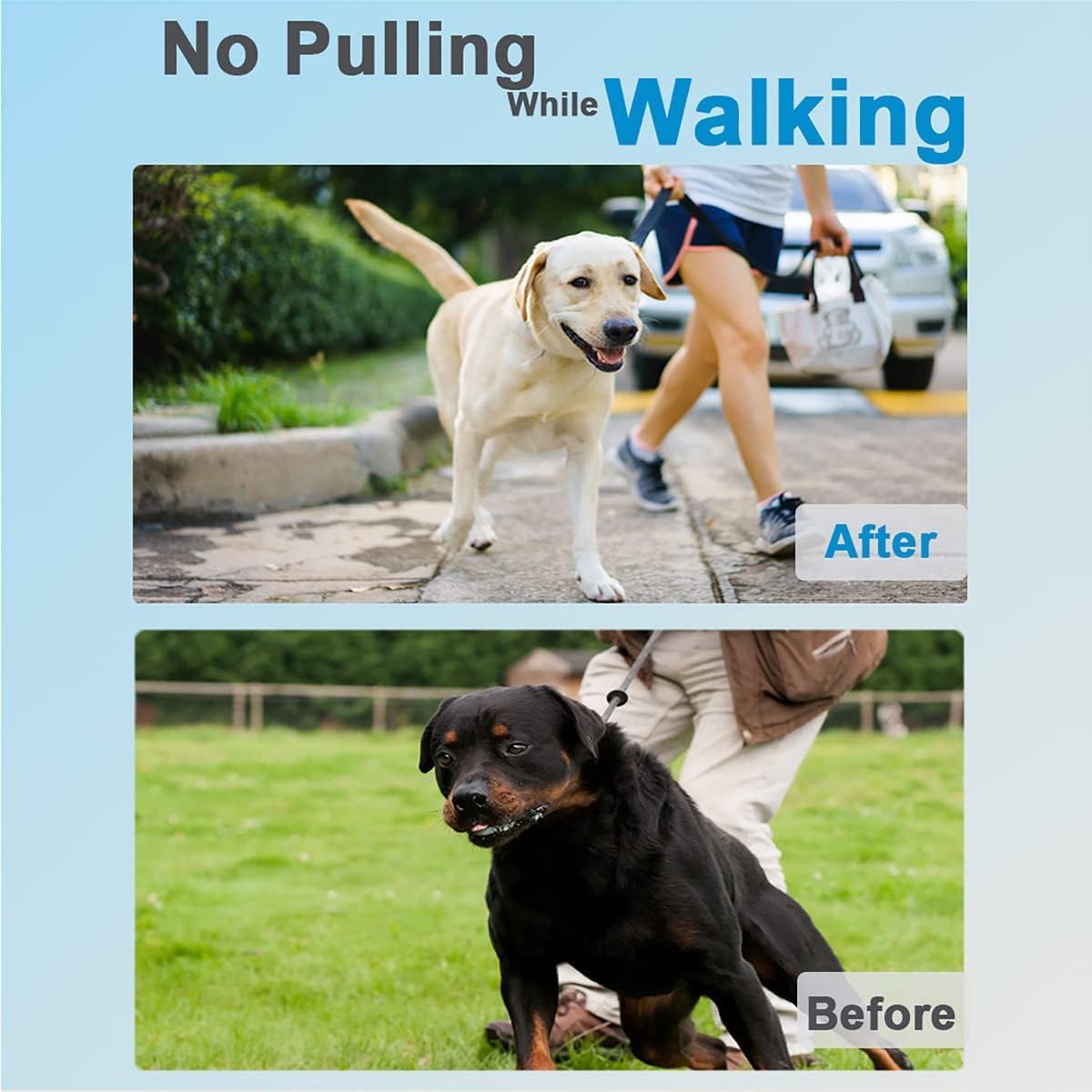Prong Collar for Dogs, Dog Training Collar for Small Medium Large Dogs