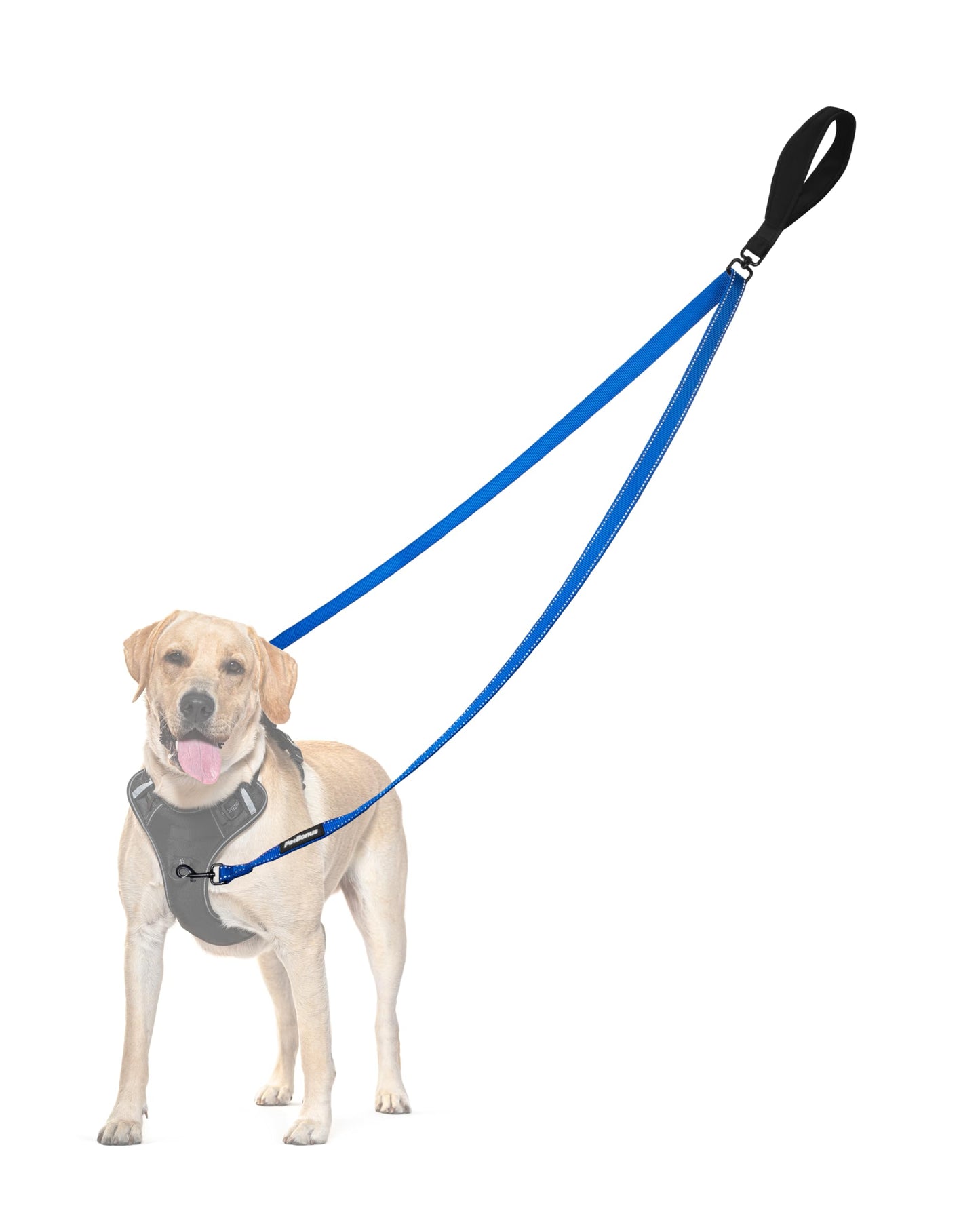 PetBonus Two Point Control Dog Leash, No Tangle Training Walking Leashes