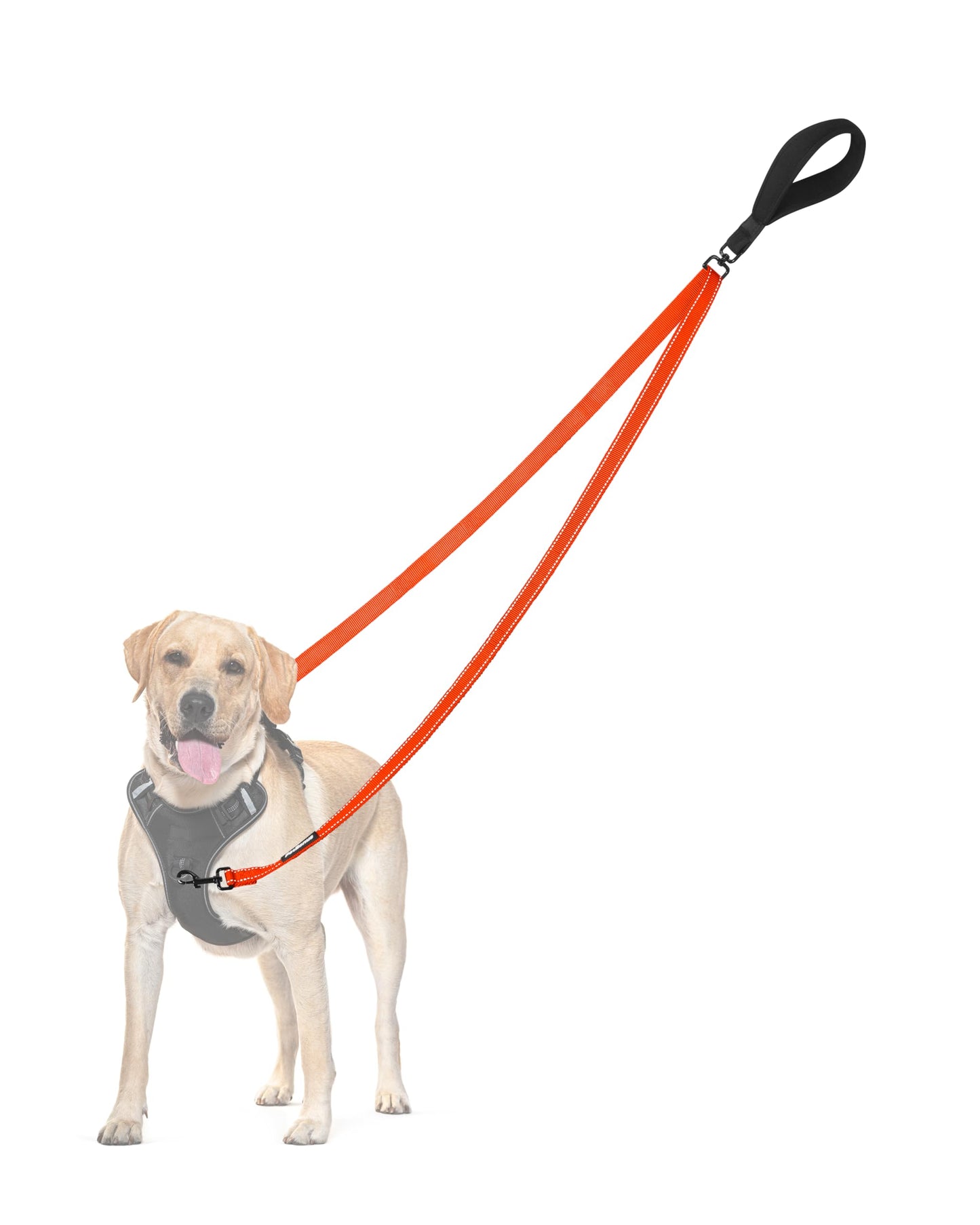 PetBonus Two Point Control Dog Leash, No Tangle Training Walking Leashes