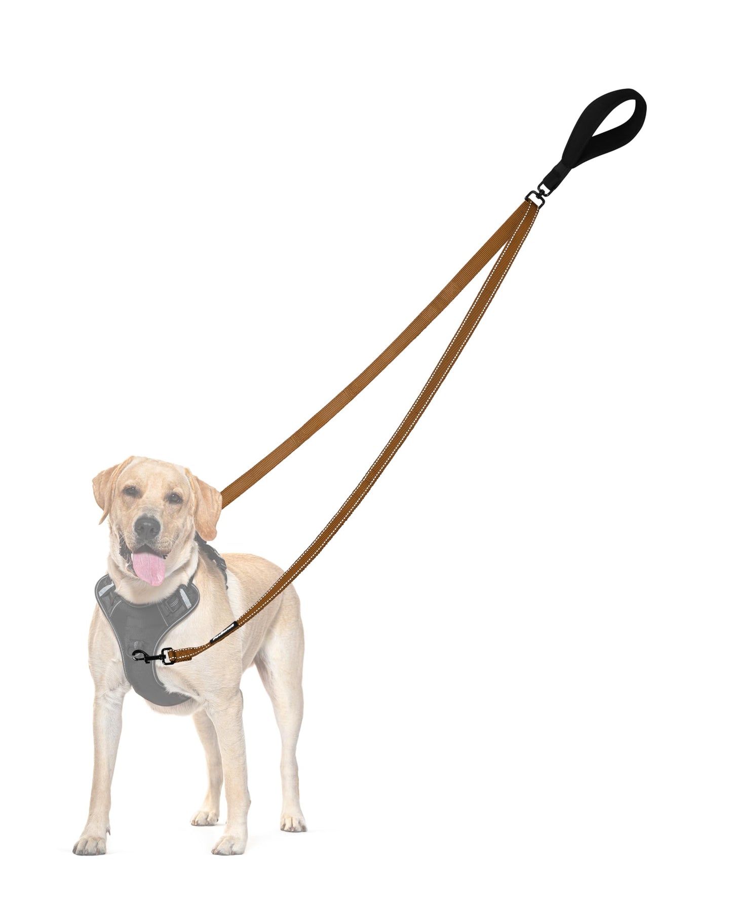 PetBonus Two Point Control Dog Leash, No Tangle Training Walking Leashes