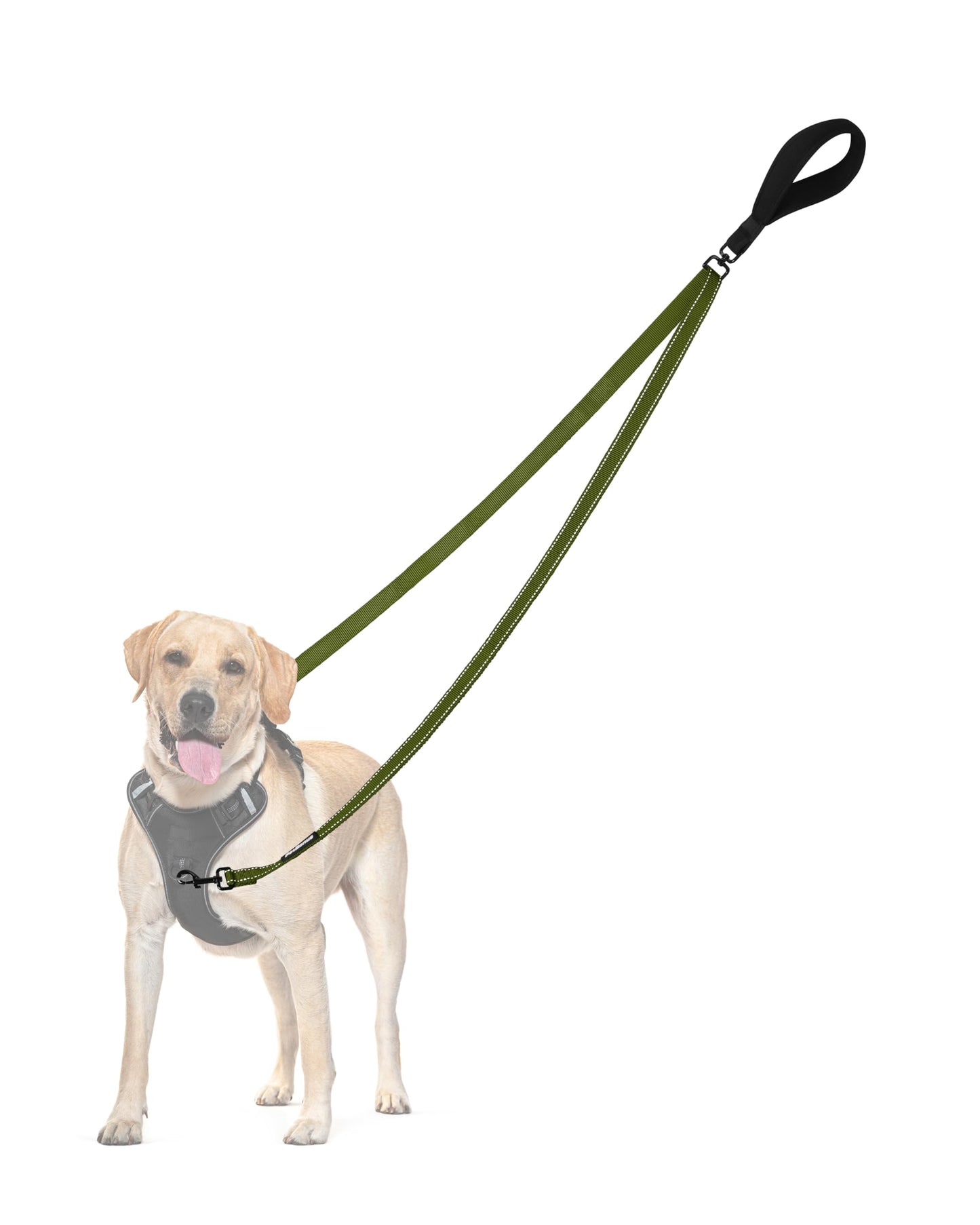 PetBonus Two Point Control Dog Leash, No Tangle Training Walking Leashes