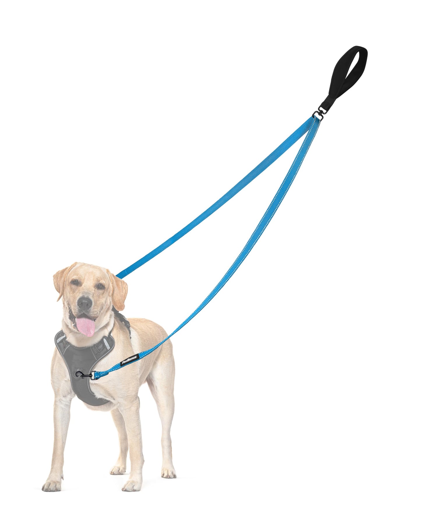 PetBonus Two Point Control Dog Leash, No Tangle Training Walking Leashes