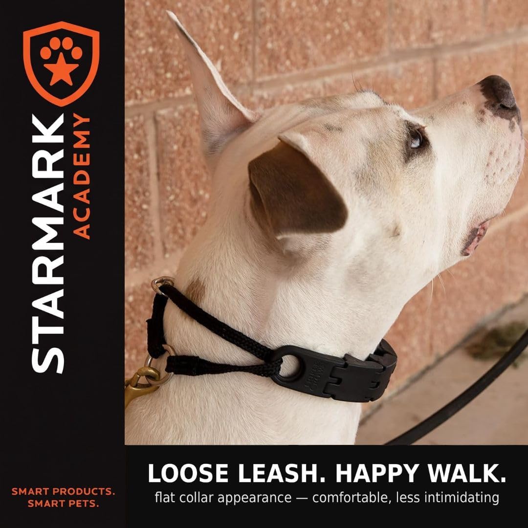 Starmark Pro-Training Dog Collar Small