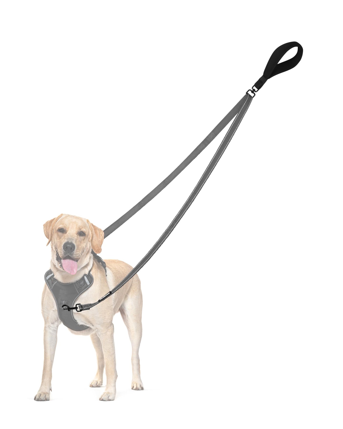 PetBonus Two Point Control Dog Leash, No Tangle Training Walking Leashes