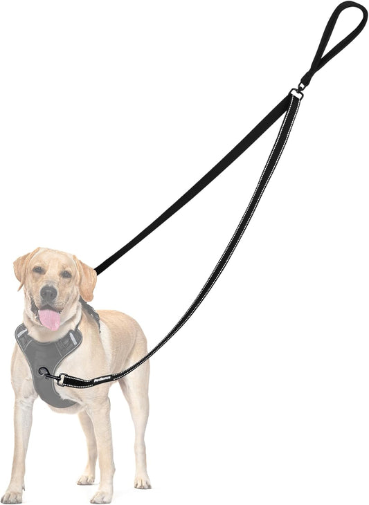 PetBonus Two Point Control Dog Leash, No Tangle Training Walking Leashes