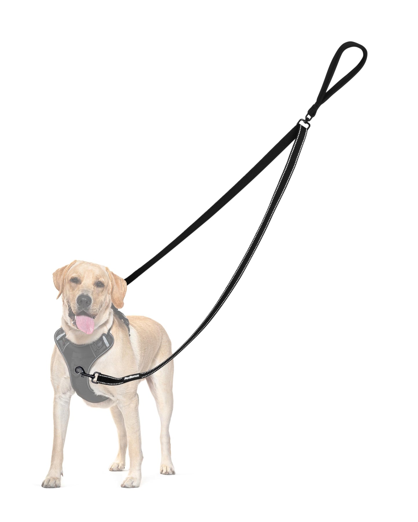 PetBonus Two Point Control Dog Leash, No Tangle Training Walking Leashes