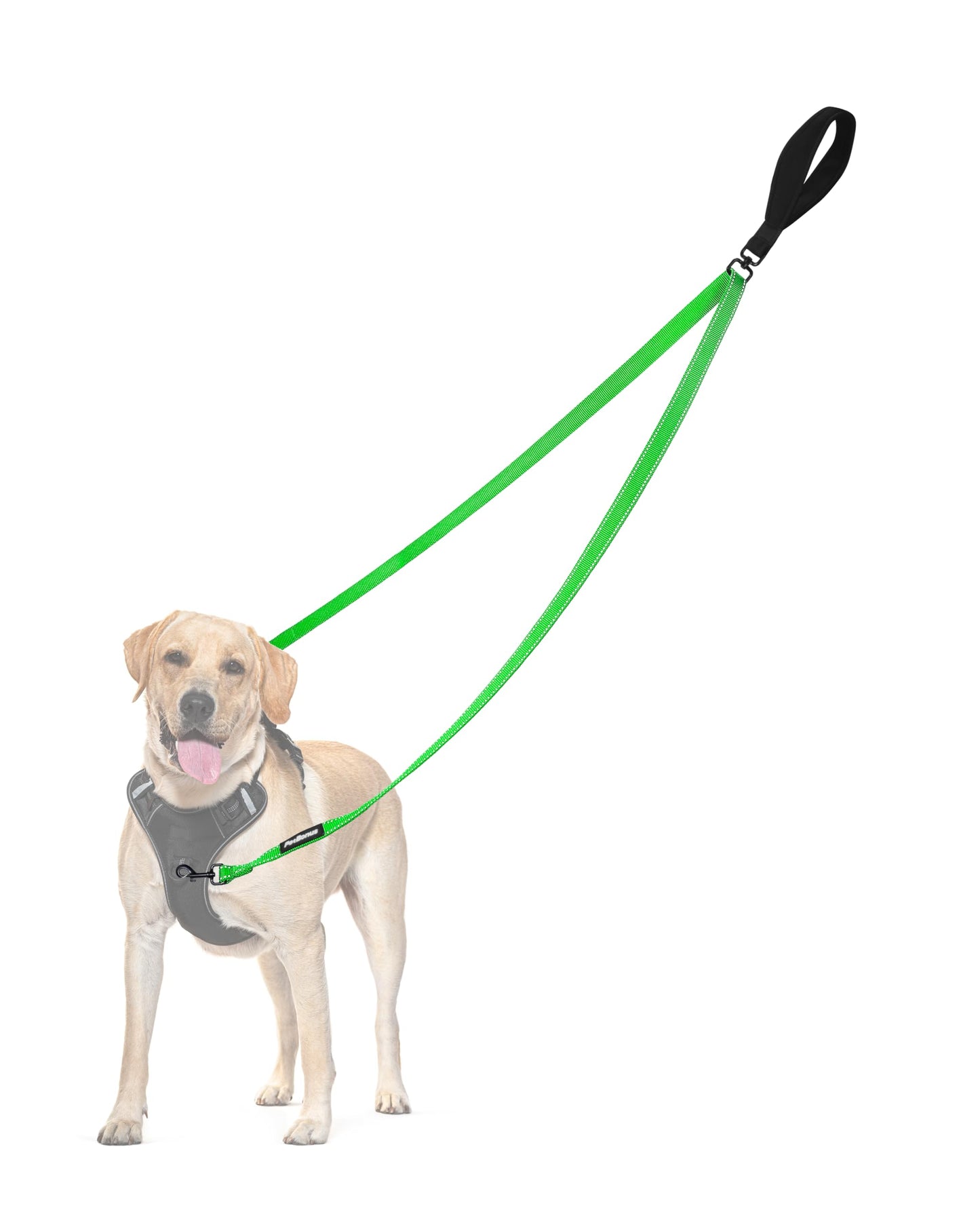 PetBonus Two Point Control Dog Leash, No Tangle Training Walking Leashes
