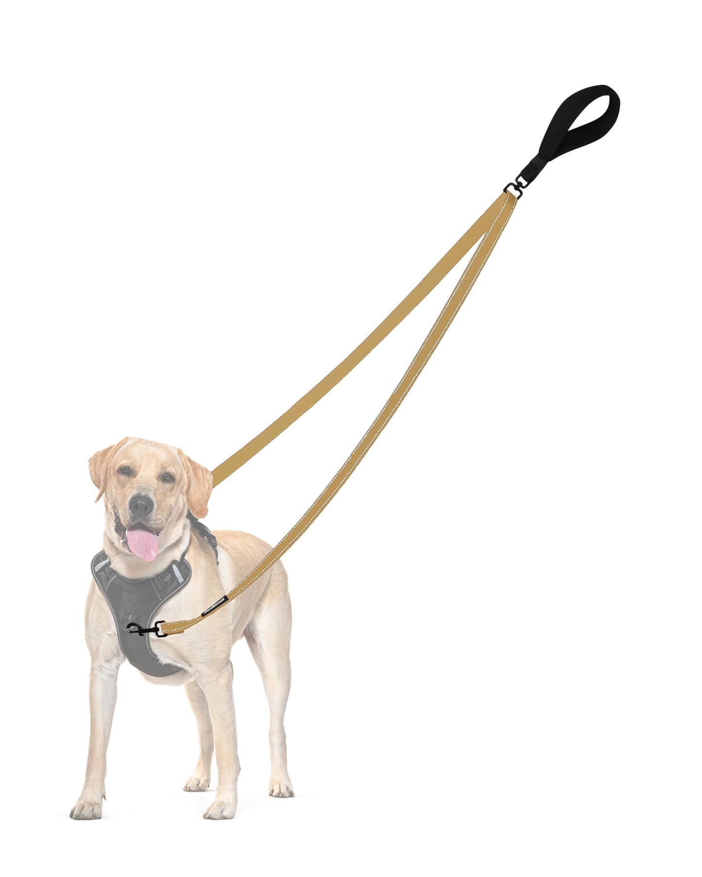 PetBonus Two Point Control Dog Leash, No Tangle Training Walking Leashes