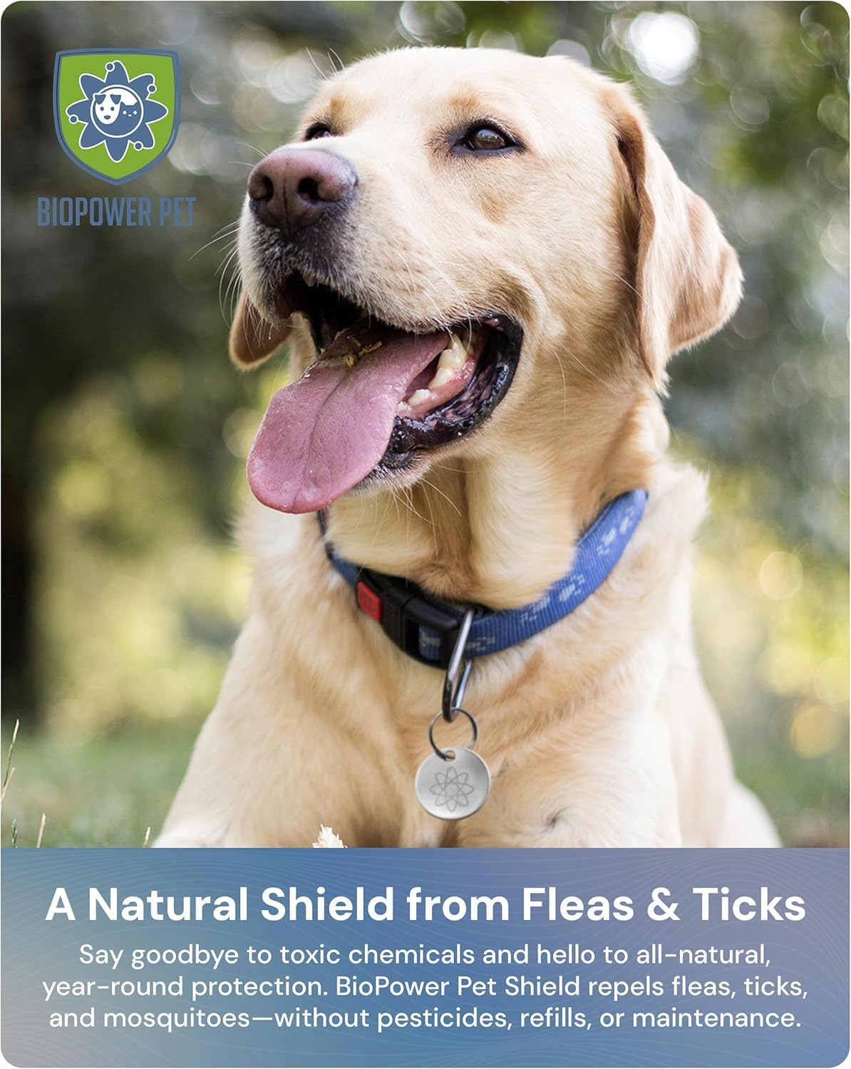 Shield Tag - Natural Flea & Tick Repellent Collar Tag for Dogs & Cats - Waterproof, Lasts 12 Months - Stainless Steel Pendant - Regular Tag (2 Pack)