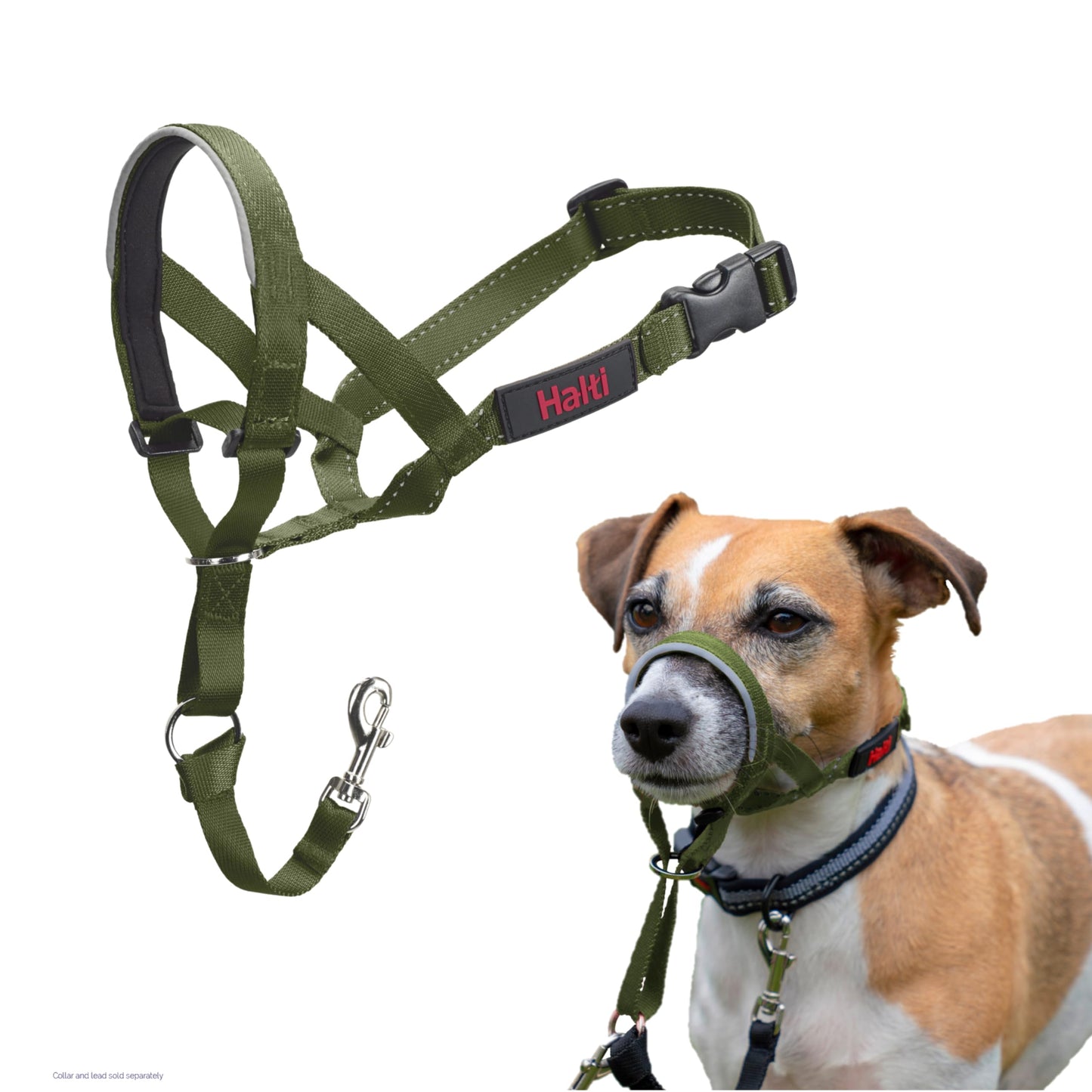 Halti Headcollar | Size 3, Black | Training Collar for Medium Dogs
