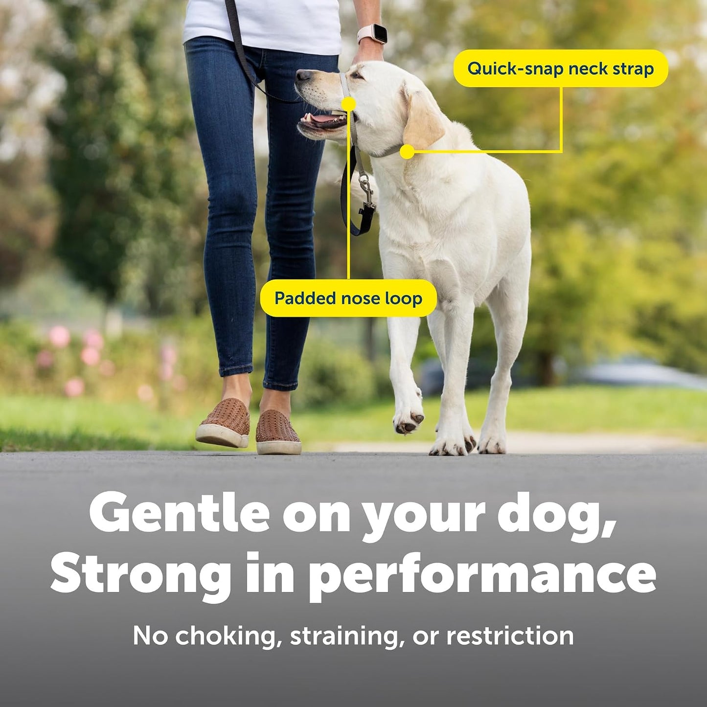PetSafe Gentle Leader No Pull Dog Headcollar, Black, Large