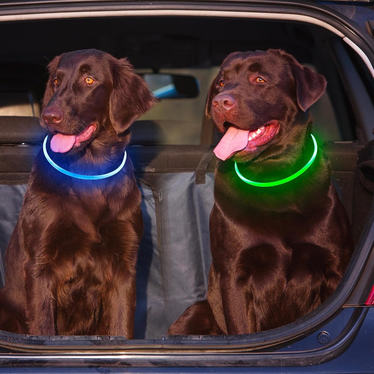 2 Packs Light Up Dog Collar, Kpuplol USB Rechargeable Dog Lights for Night