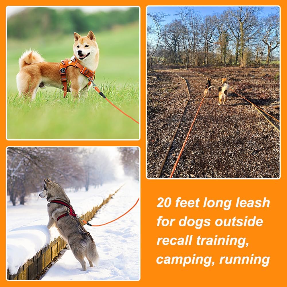 Vivifying Floating Long Dog Leash, 20FT Dog Training Leash, Lightweight Dog Check Cord Rope Lead with Comfortable Handle for Outside, Hiking, Swimming, Beach and Lake