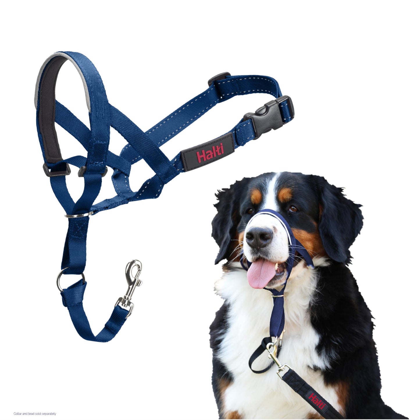 Halti Headcollar | Size 3, Black | Training Collar for Medium Dogs