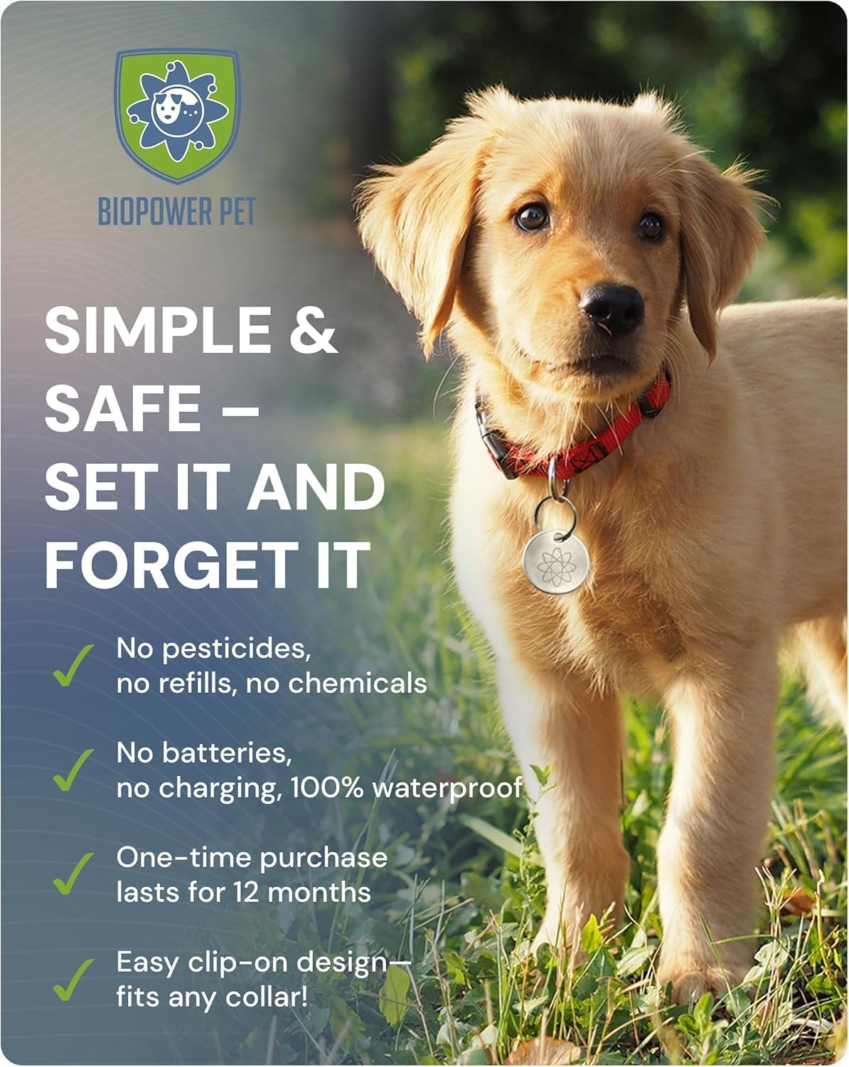 Shield Tag - Natural Flea & Tick Repellent Collar Tag for Dogs & Cats - Waterproof, Lasts 12 Months - Stainless Steel Pendant - Regular Tag (2 Pack)