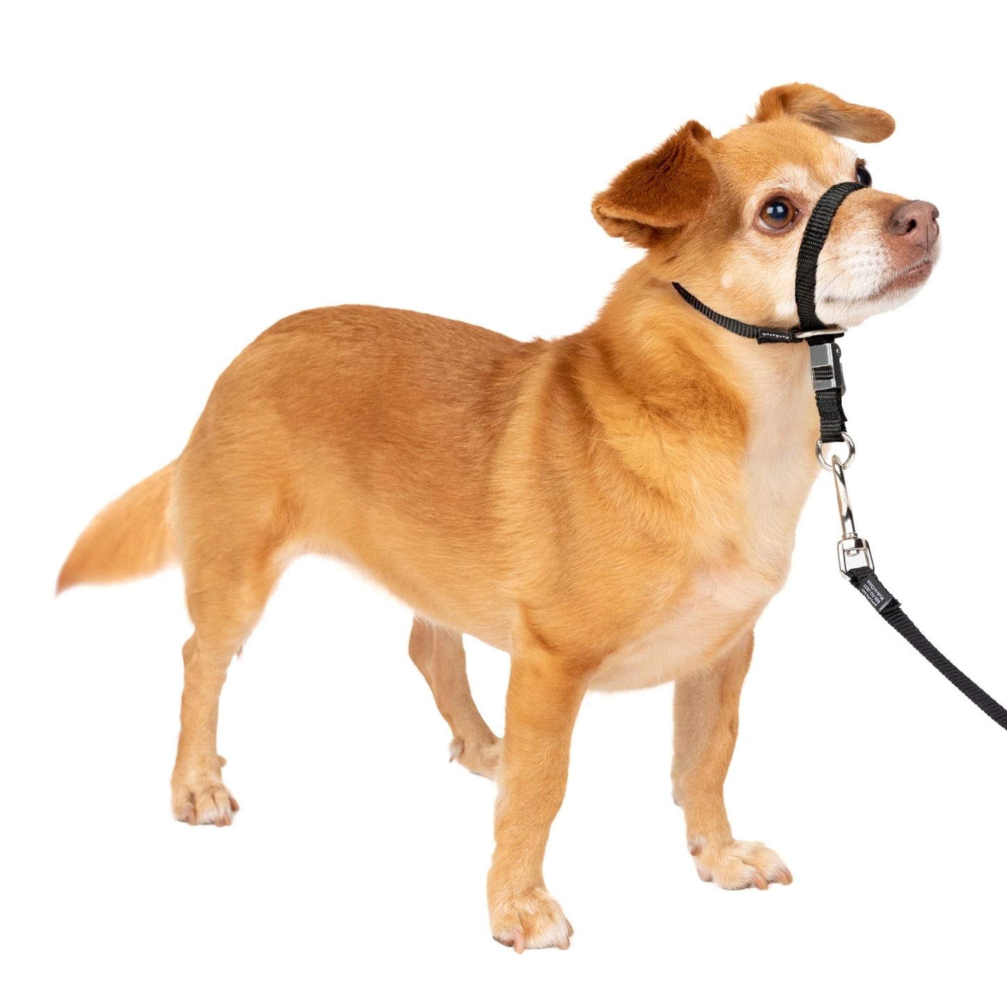 PetSafe Gentle Leader No Pull Dog Headcollar, Black, Large