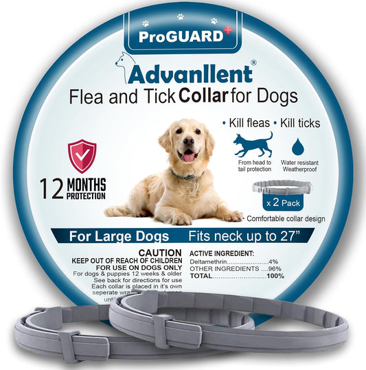 Flea Collar for Dogs, Dog Flea and Tick Treatment & Prevention, 2 Collars