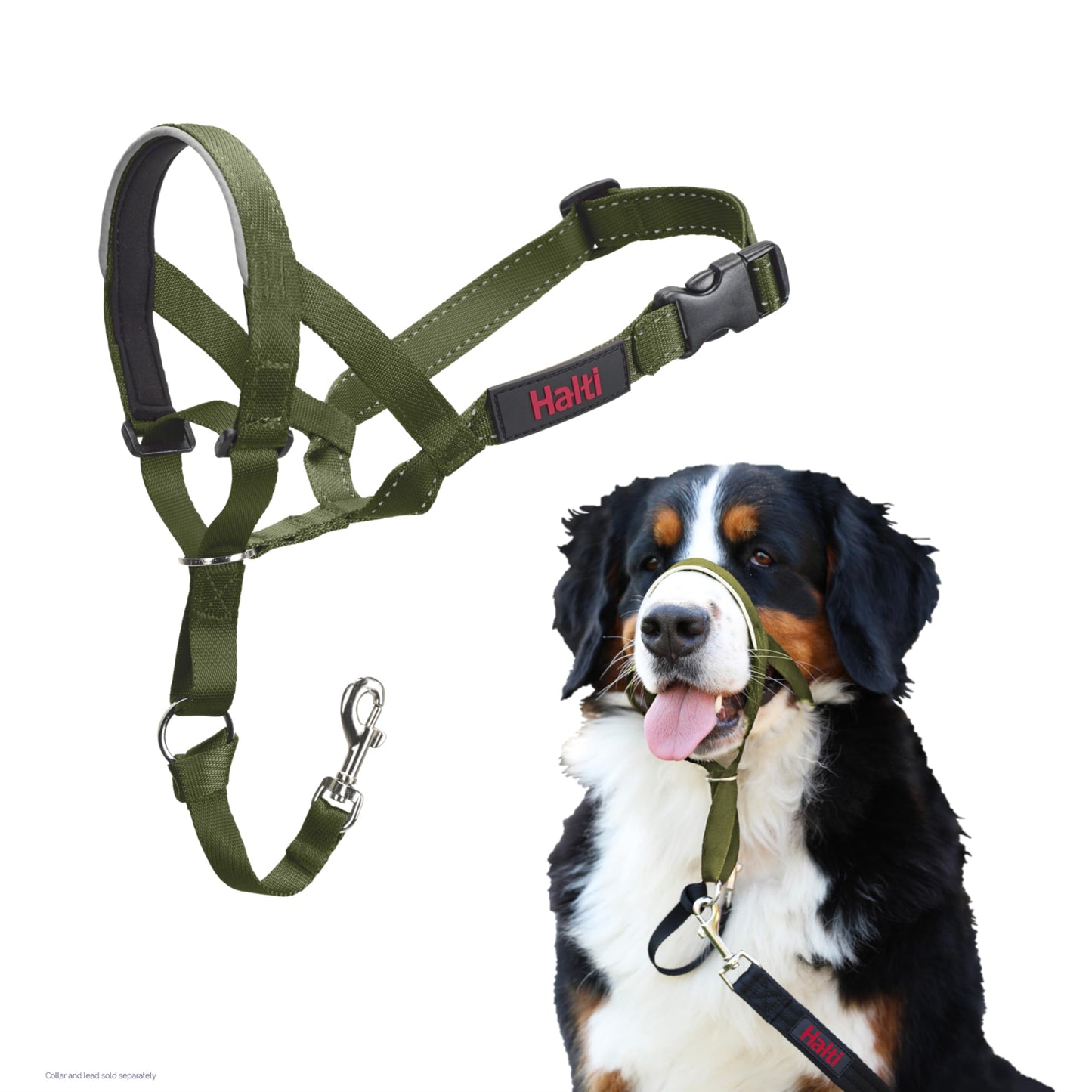 Halti Headcollar | Size 3, Black | Training Collar for Medium Dogs