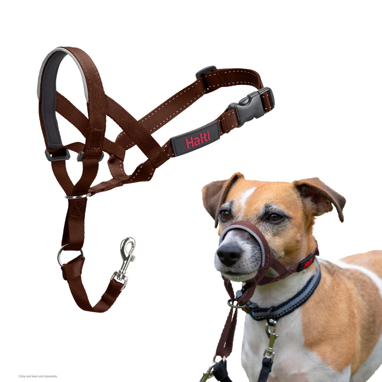 Halti Headcollar | Size 3, Black | Training Collar for Medium Dogs