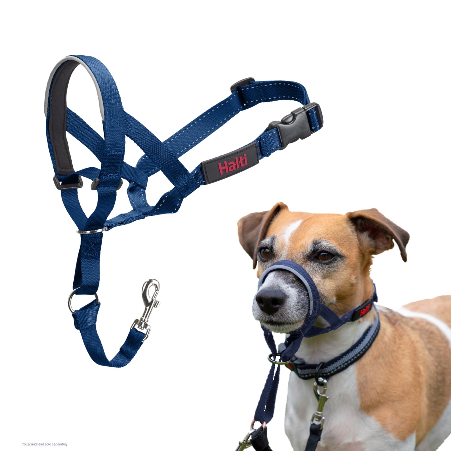 Halti Headcollar | Size 3, Black | Training Collar for Medium Dogs