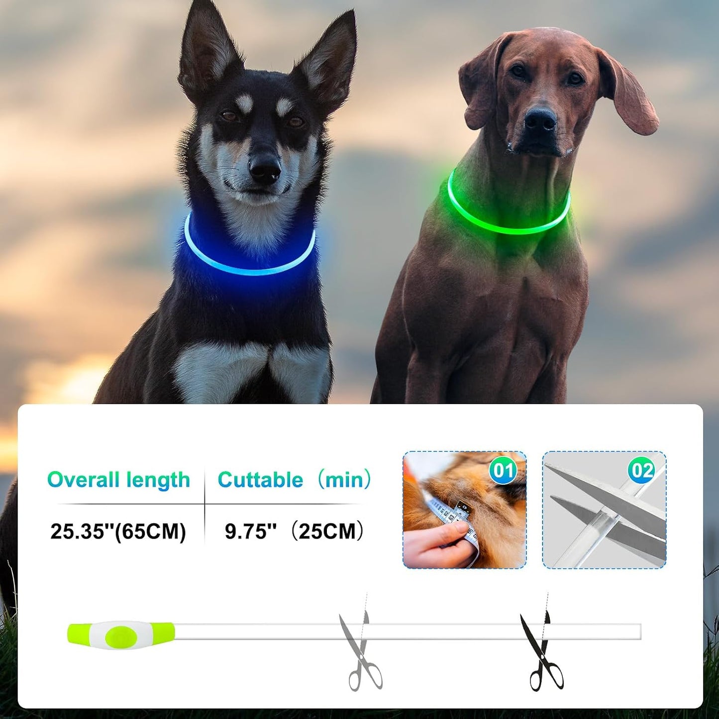 2 Packs Light Up Dog Collar, Kpuplol USB Rechargeable Dog Lights for Night