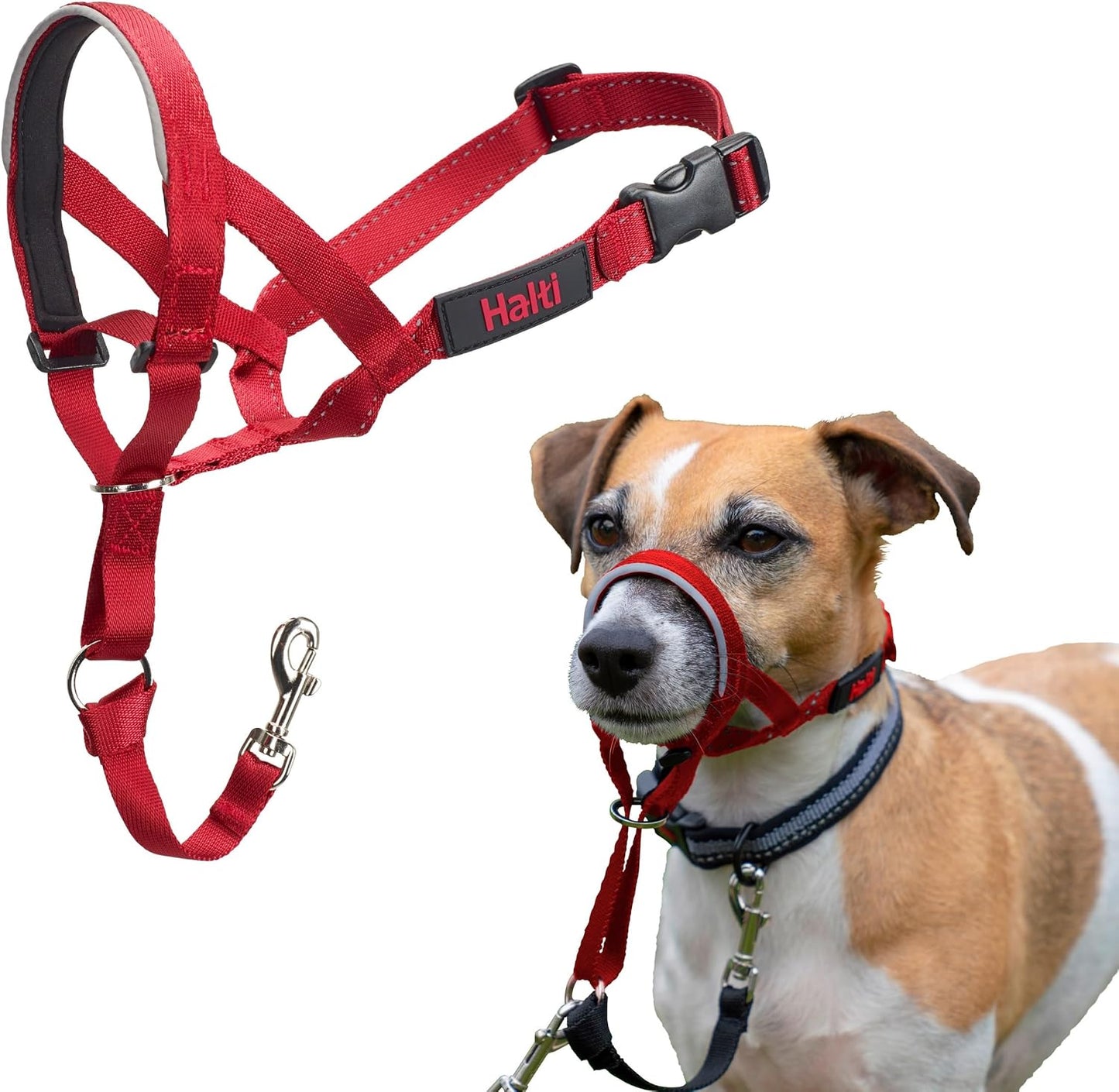 Halti Headcollar | Size 3, Black | Training Collar for Medium Dogs