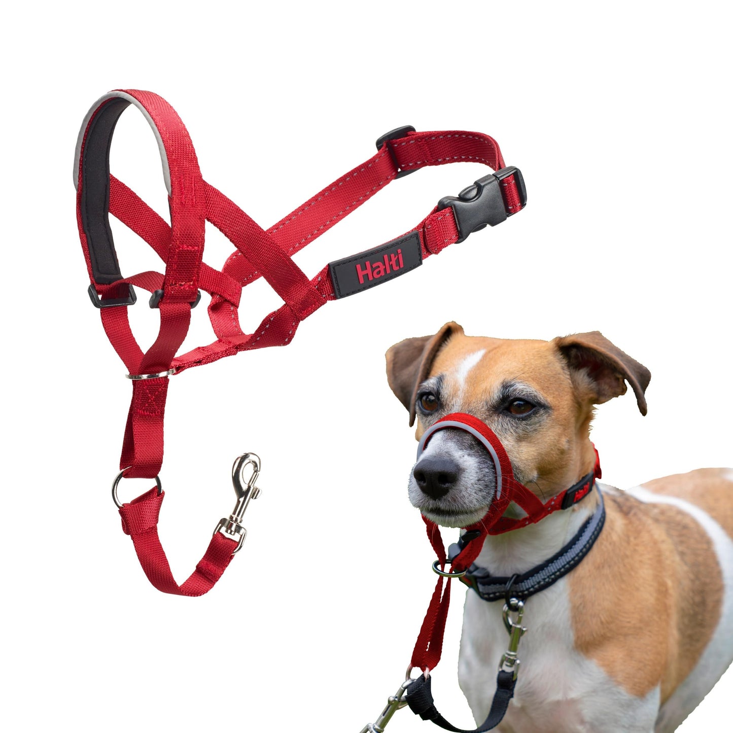Halti Headcollar | Size 3, Black | Training Collar for Medium Dogs