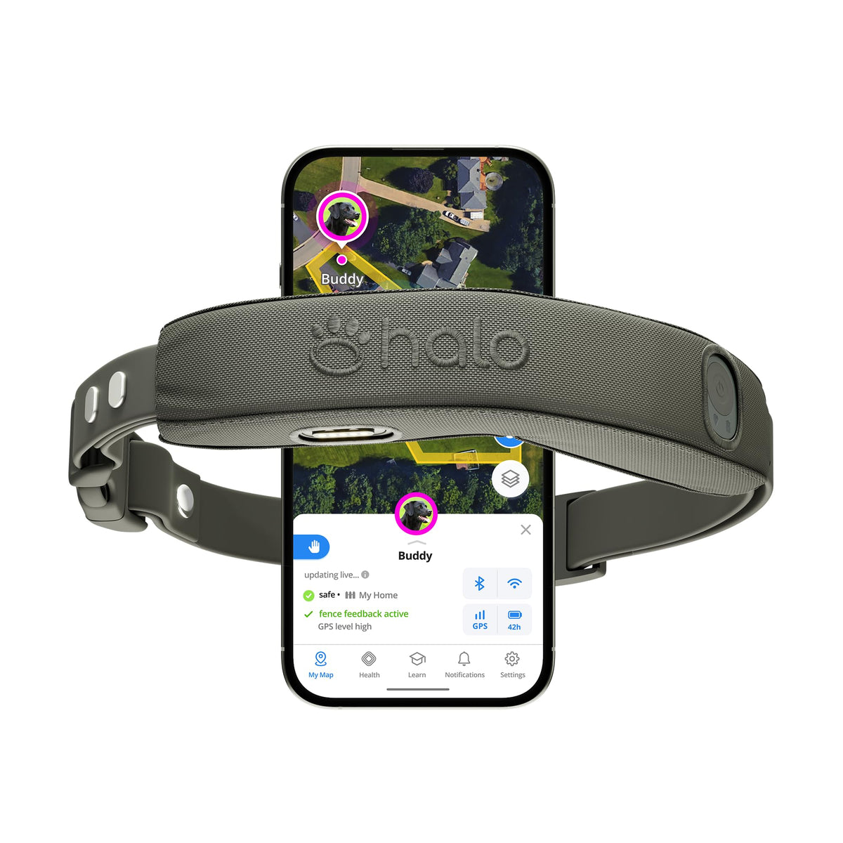 Halo Collar 5 GPS Wireless Dog Fence, Graphite