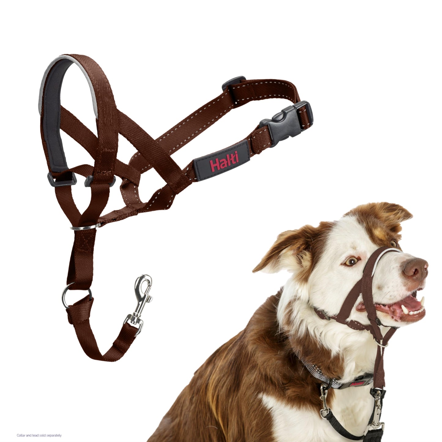 Halti Headcollar | Size 3, Black | Training Collar for Medium Dogs