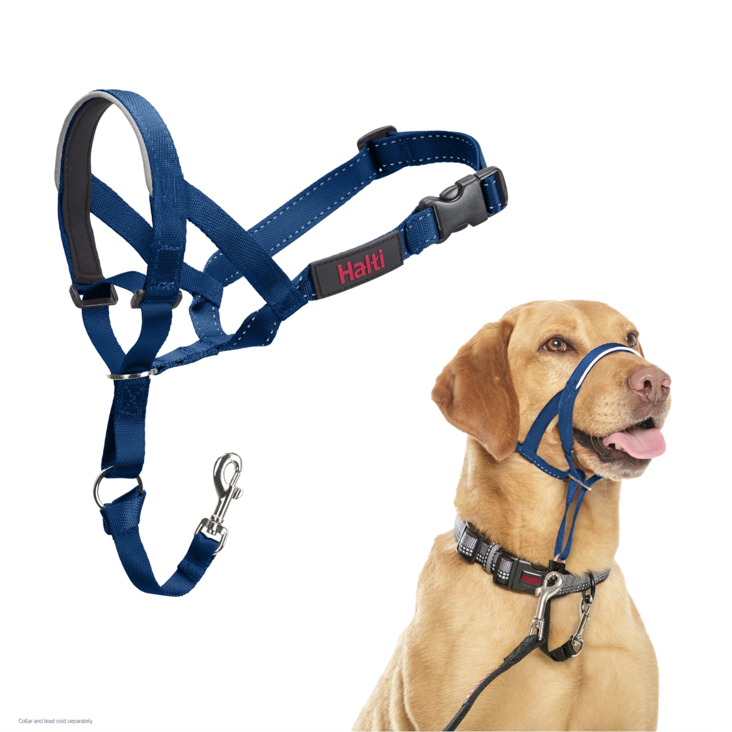Halti Headcollar | Size 3, Black | Training Collar for Medium Dogs