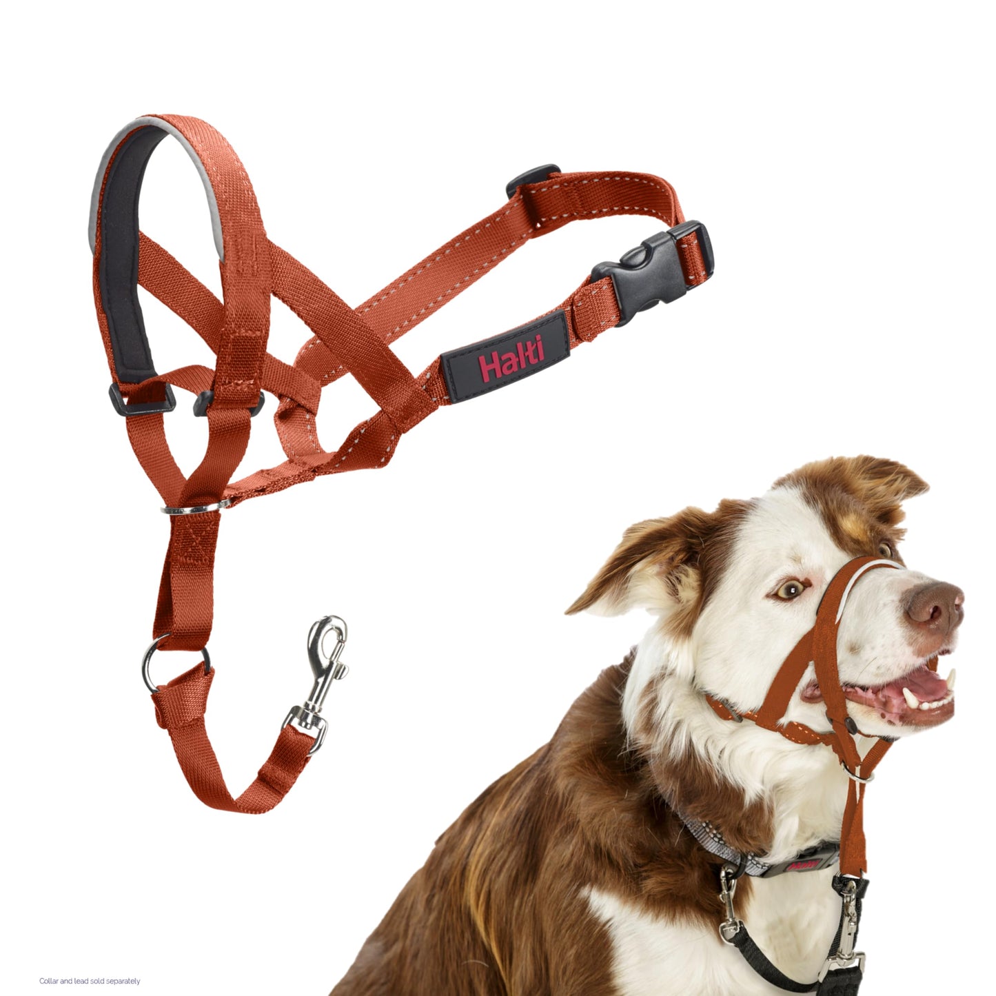 Halti Headcollar | Size 3, Black | Training Collar for Medium Dogs