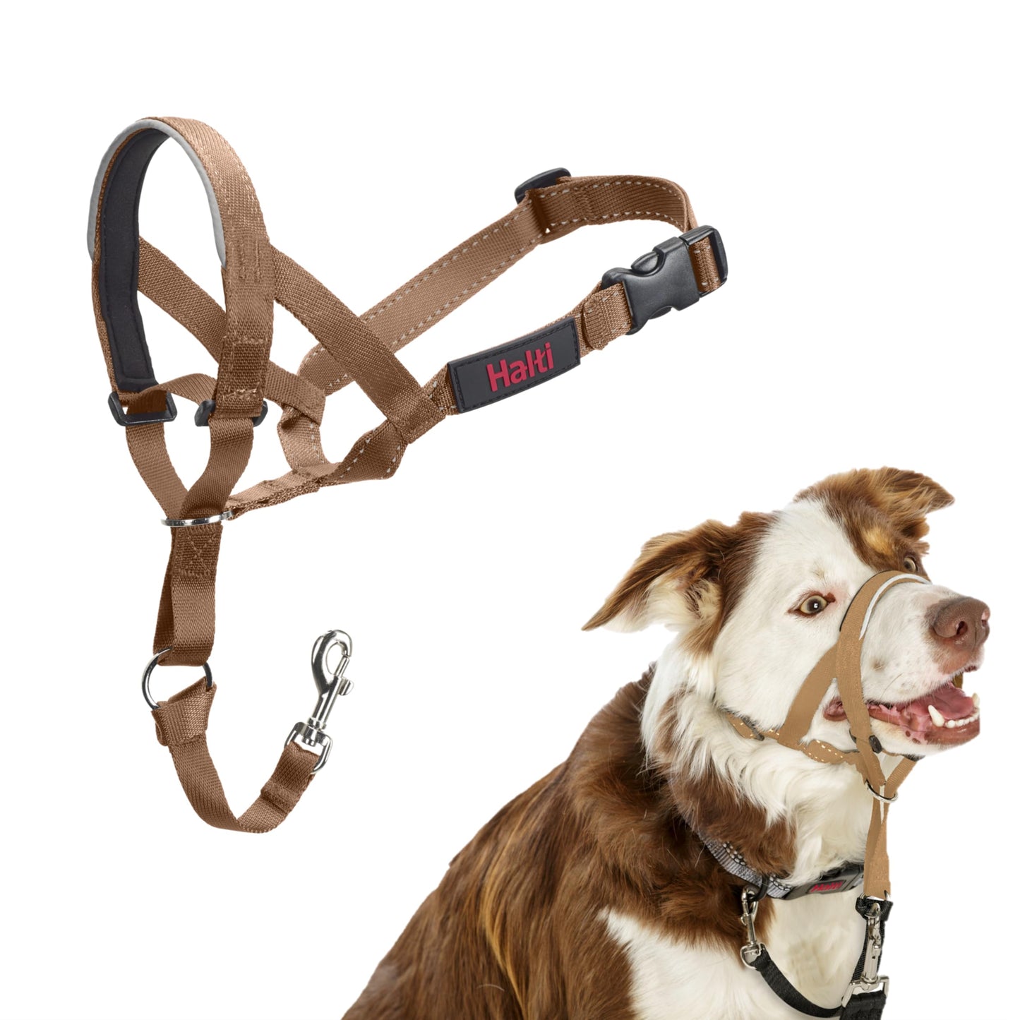 Halti Headcollar | Size 3, Black | Training Collar for Medium Dogs