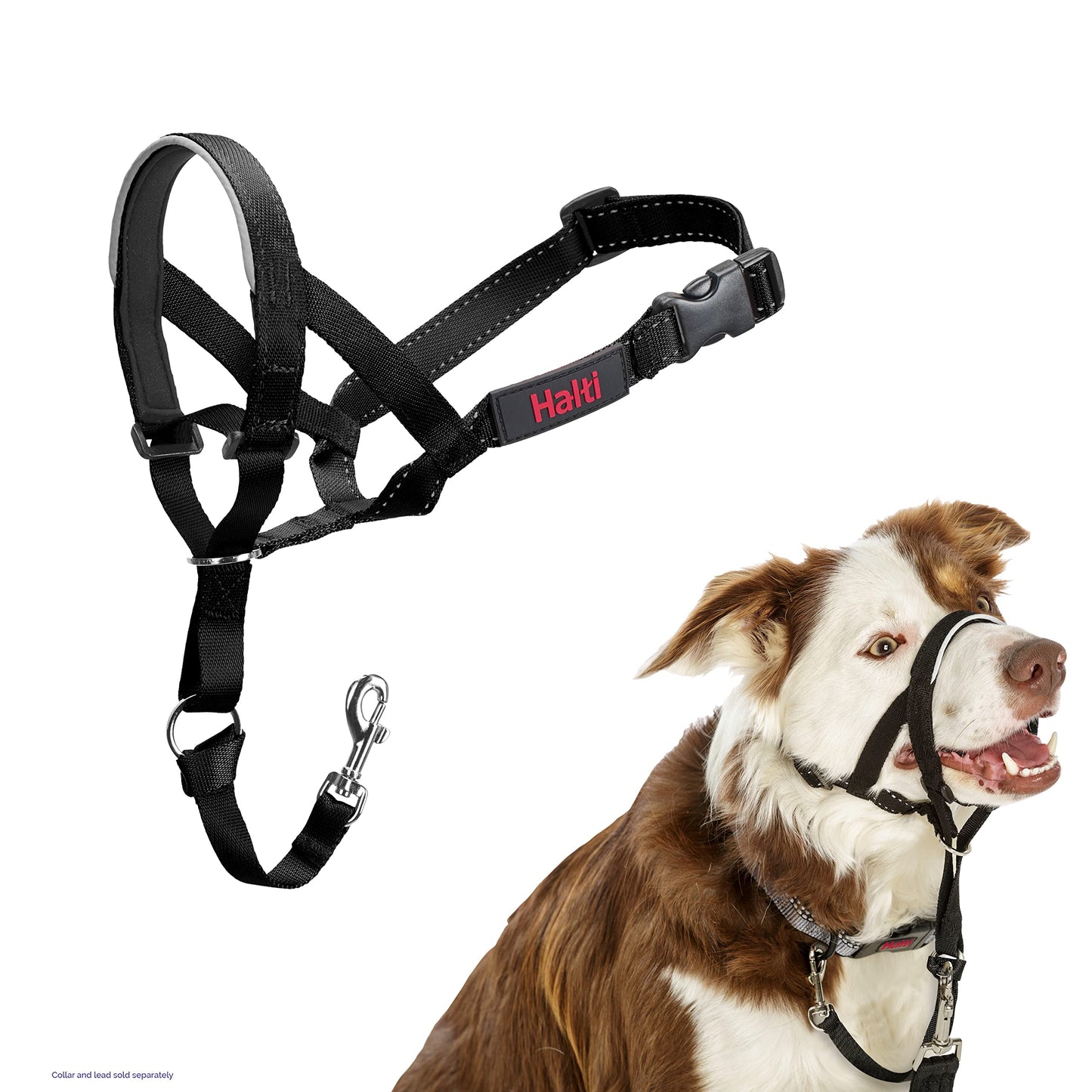 Halti Headcollar | Size 3, Black | Training Collar for Medium Dogs