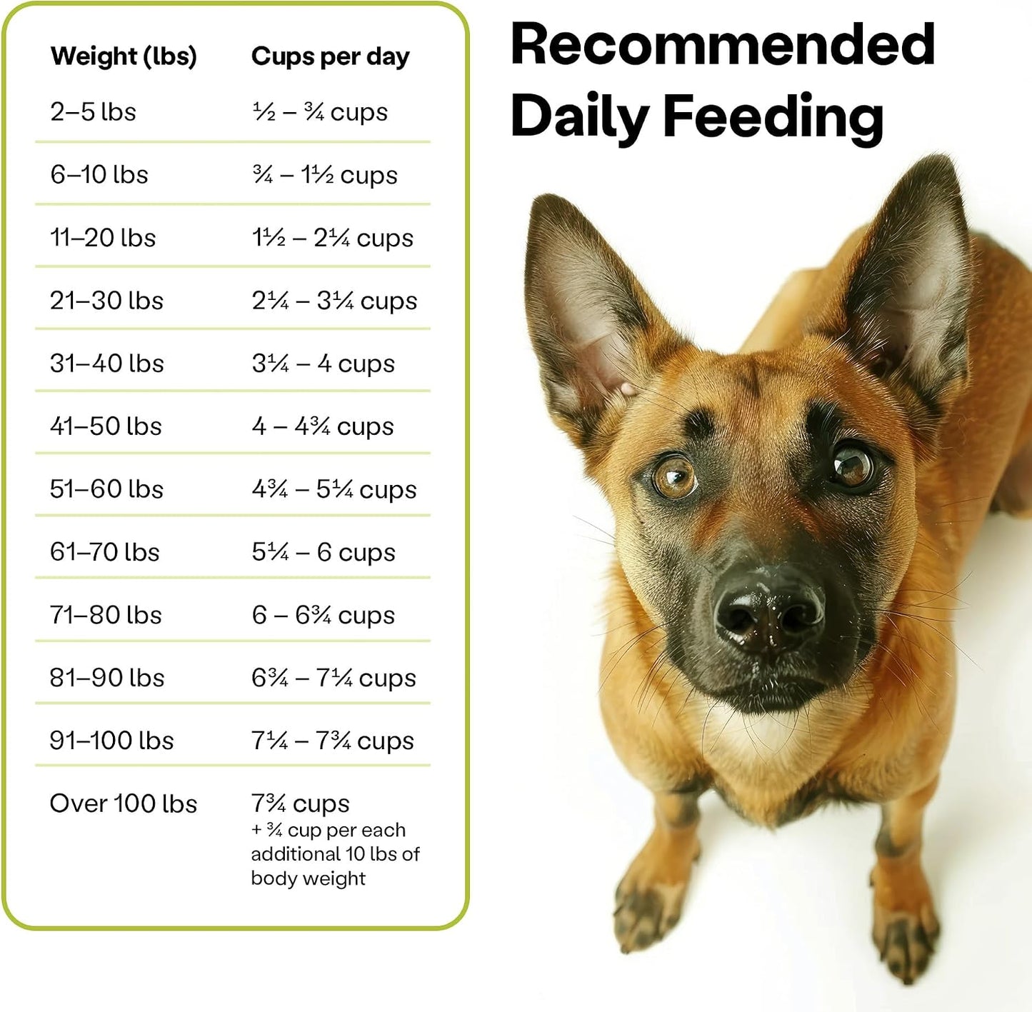 Wild Earth Vegan Dry Dog Food Performance Formula | Plant-Based Vegetarian Kibble | Wheat-Free, Allergen-Free, Veterinarian-Developed | Veggie Supreme Flavor, 18lb Bag