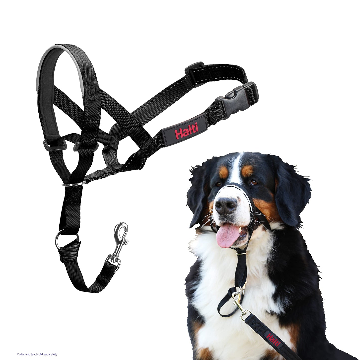 Halti Headcollar | Size 3, Black | Training Collar for Medium Dogs