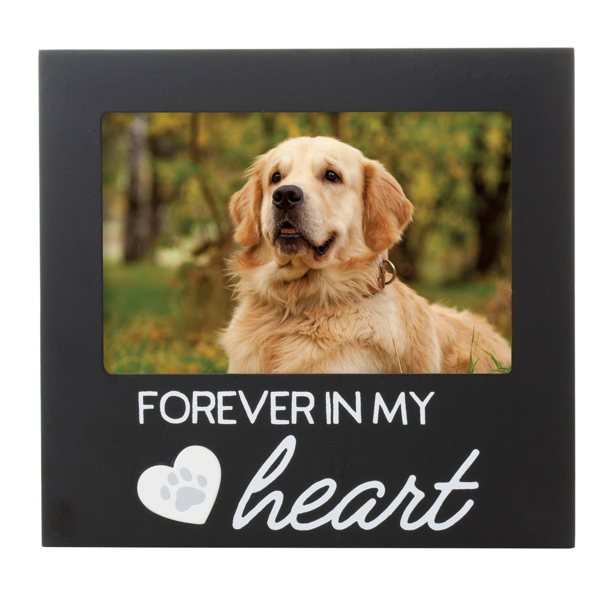 Pearhead Forever Loved Pet Keepsake Picture Frame, Photo Frame for Pet Owners and Dog Lovers, Ideal Memorial Gift for Loss of Dog and Pet Remembrance, Wall Mount And Tabletop Frame, Black