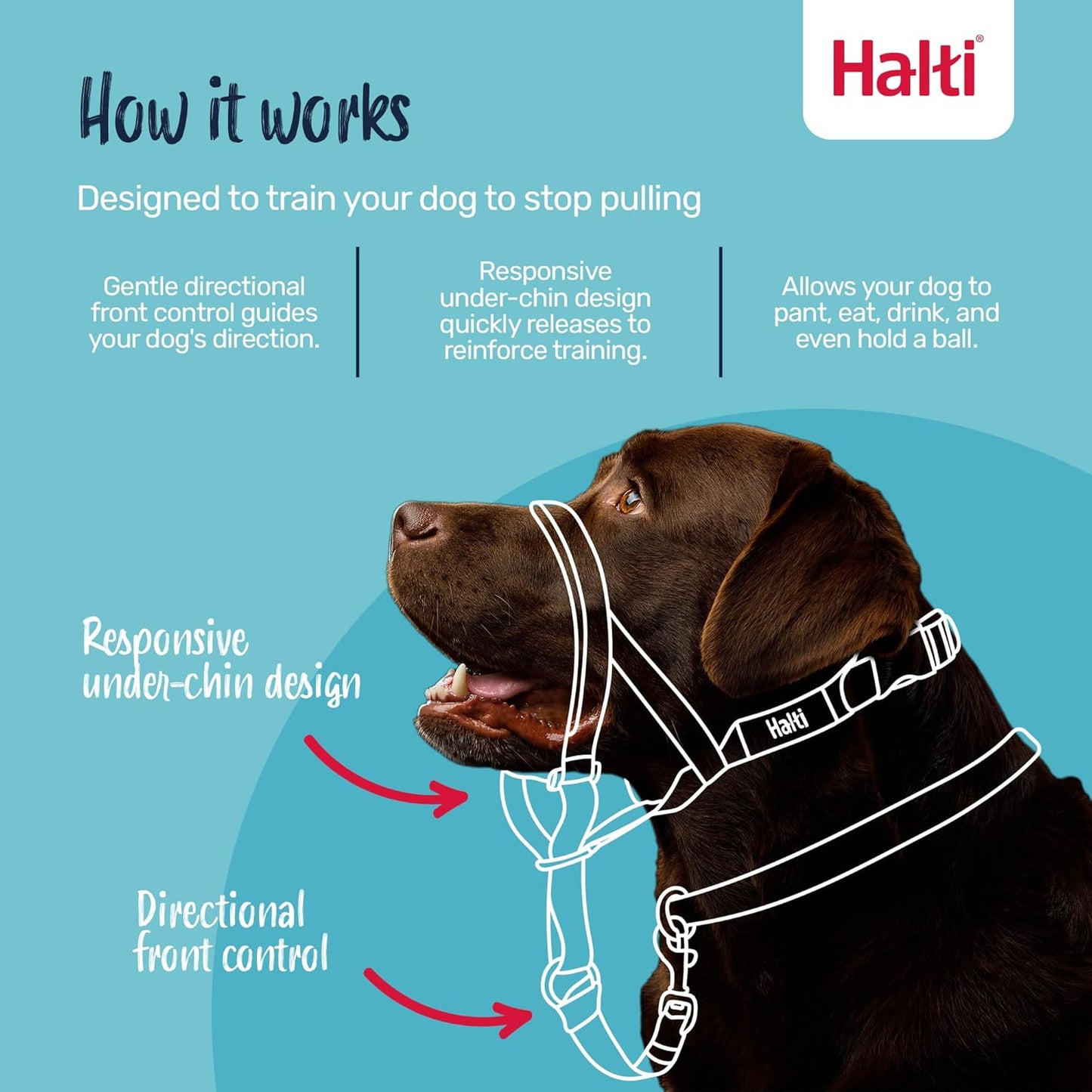 Halti Headcollar | Size 3, Black | Training Collar for Medium Dogs