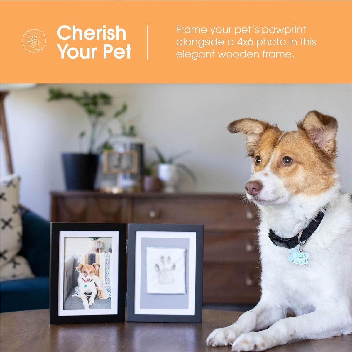 Pearhead Pet Paw Print Frame with Clay Impression Kit, Black Tabletop Frame
