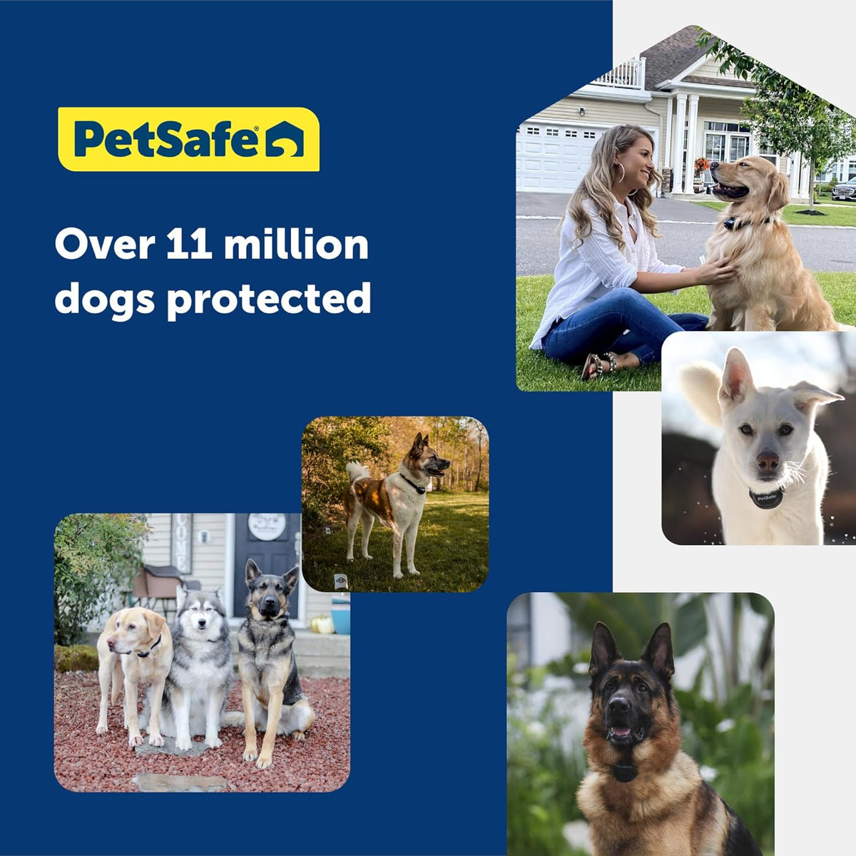 PetSafe Basic In-Ground Fence, 2 Dog, Up to 1/3 Acre