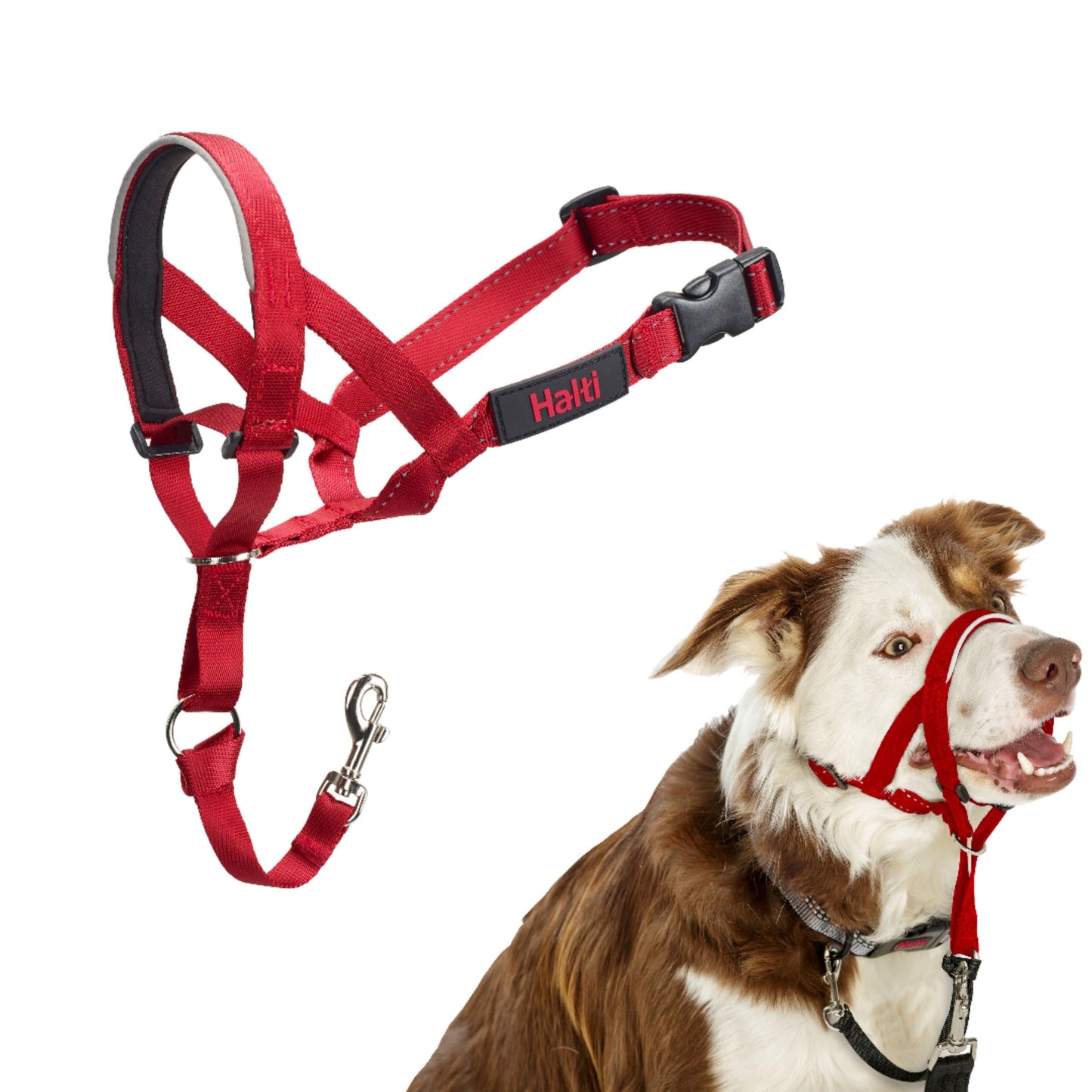 Halti Headcollar | Size 3, Black | Training Collar for Medium Dogs