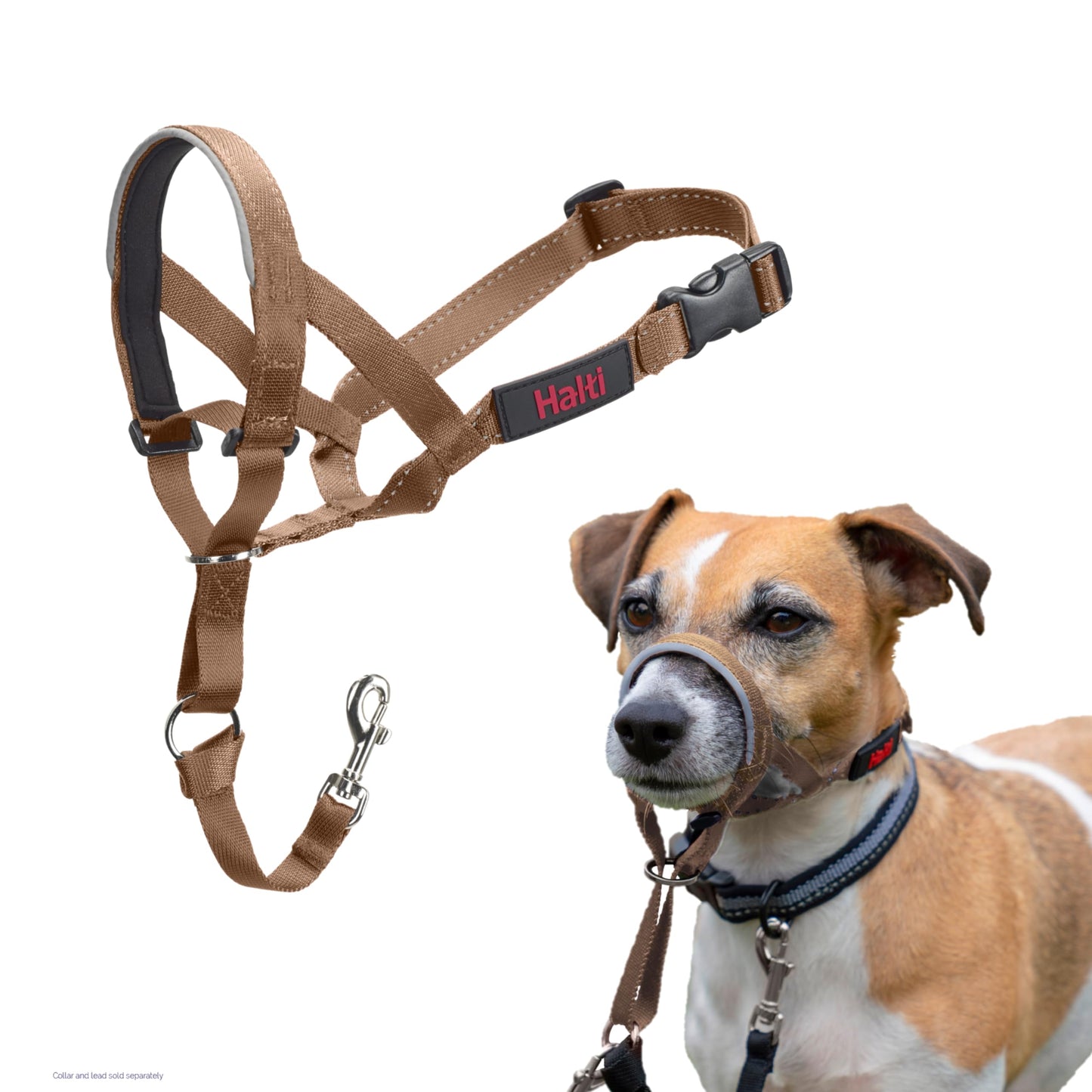 Halti Headcollar | Size 3, Black | Training Collar for Medium Dogs