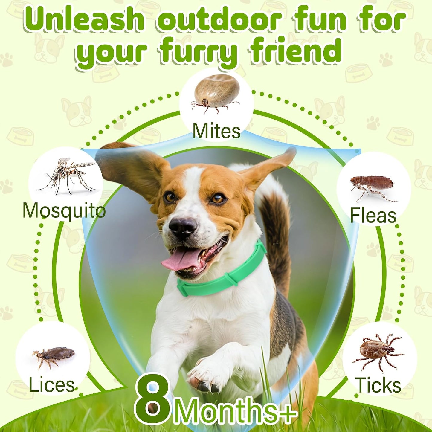 Dog Collar 2packs (Green 2Pack)